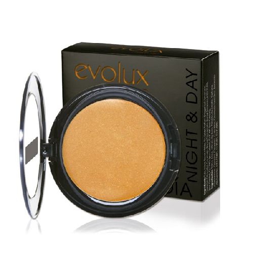 Imagen de True bronze powder Evolux nº57